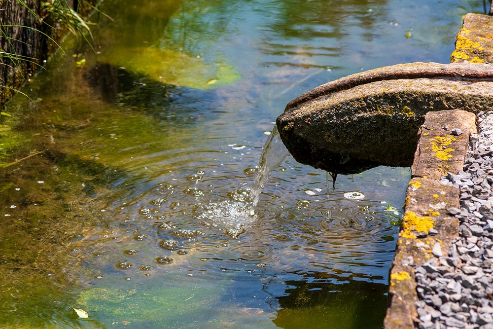 Centre Naturiel, formation en thérapies naturelles, Aigle